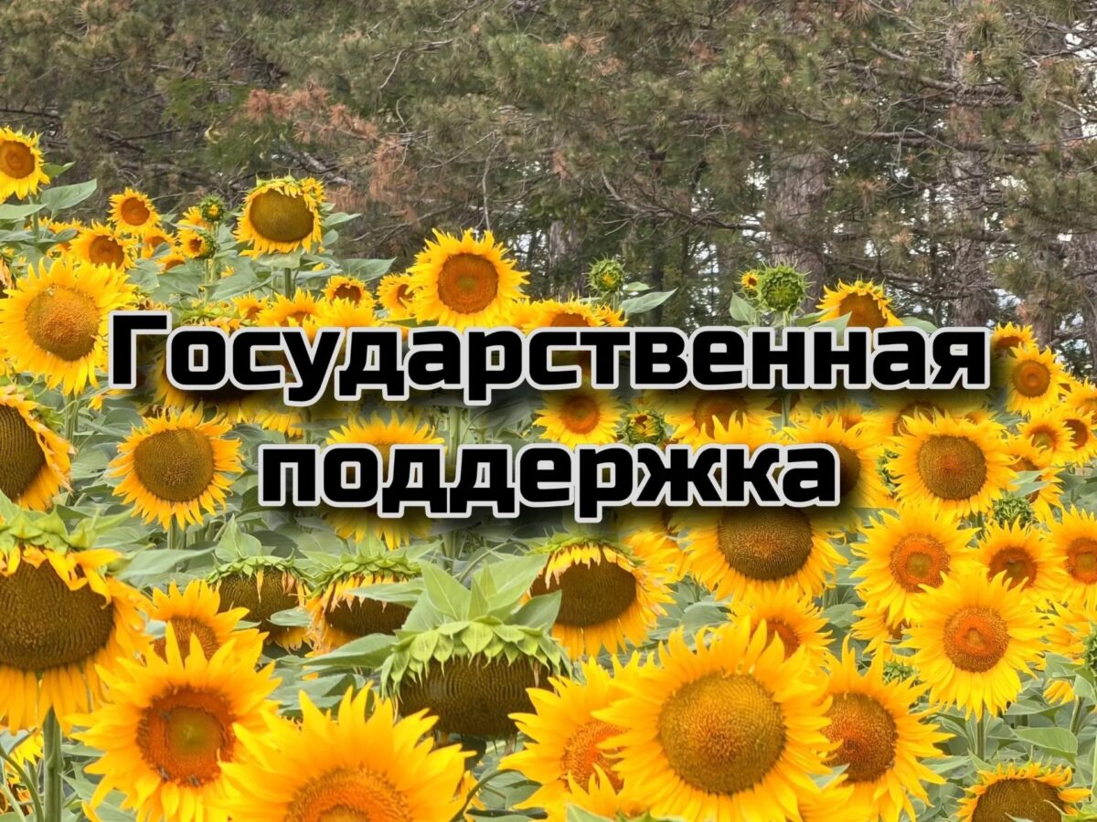 Гранты для малого агробизнеса Крыма