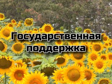 Гранты для малого агробизнеса Крыма