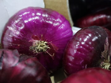 Как выбрать вкусный лук?