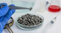 Новый урожай подсолнечника - хорошее качество