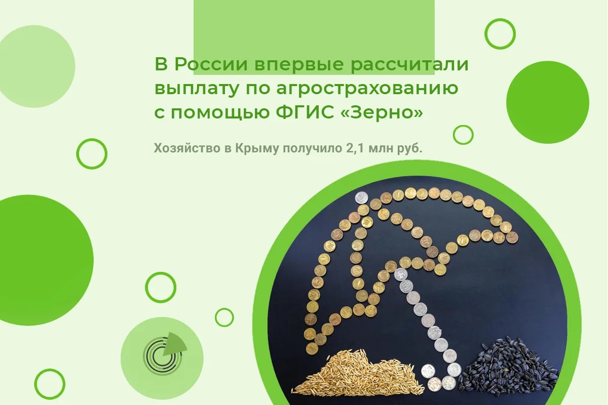 ФГИС «Зерно» — в помощь!